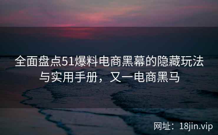 全面盘点51爆料电商黑幕的隐藏玩法与实用手册，又一电商黑马  第1张