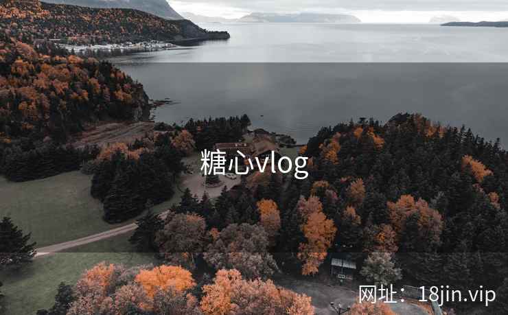 糖心vlog 第2张