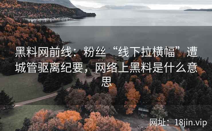 黑料网前线：粉丝“线下拉横幅”遭城管驱离纪要，网络上黑料是什么意思  第1张