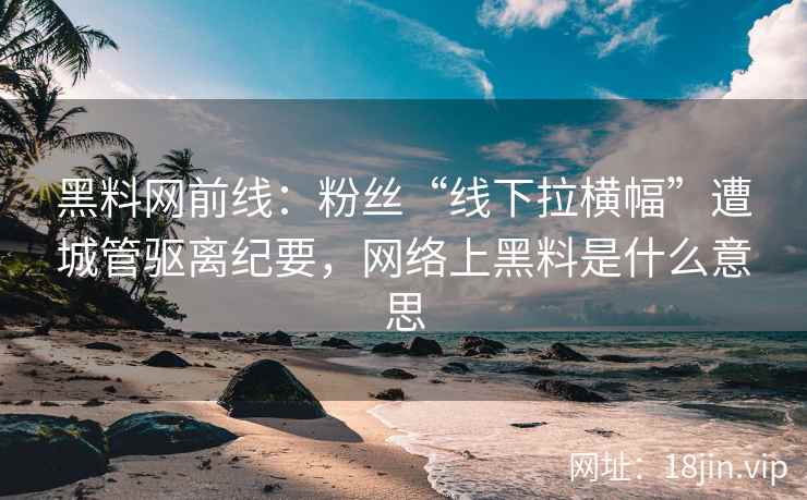 黑料网前线：粉丝“线下拉横幅”遭城管驱离纪要，网络上黑料是什么意思  第2张