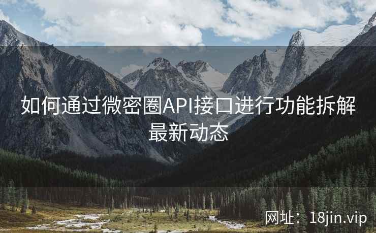 如何通过微密圈API接口进行功能拆解最新动态