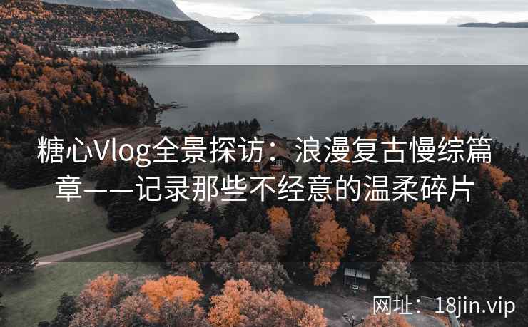 糖心Vlog全景探访：浪漫复古慢综篇章——记录那些不经意的温柔碎片