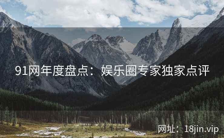 91网年度盘点：娱乐圈专家独家点评