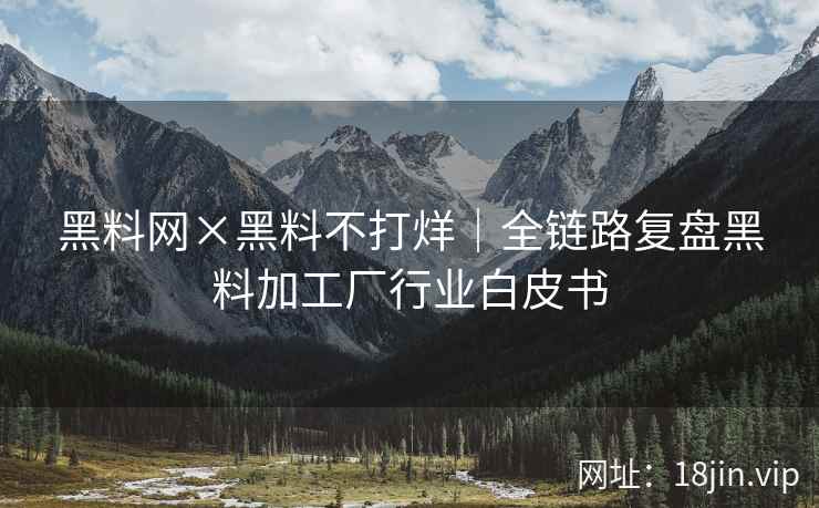 黑料网×黑料不打烊｜全链路复盘黑料加工厂行业白皮书