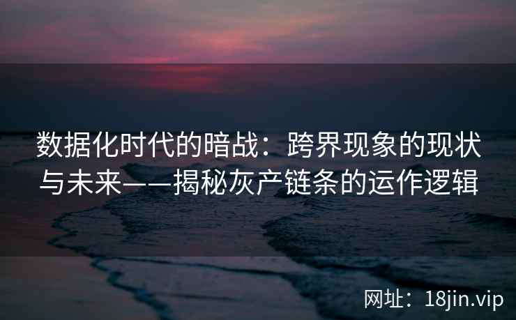 数据化时代的暗战：跨界现象的现状与未来——揭秘灰产链条的运作逻辑