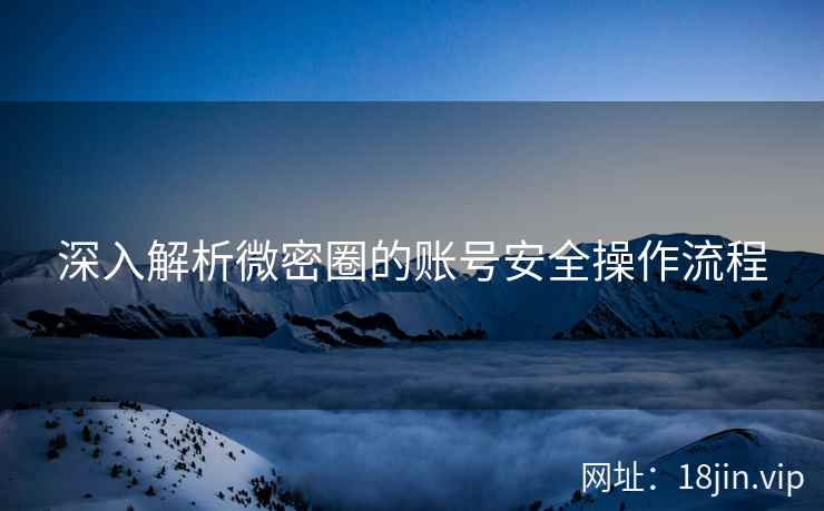 深入解析微密圈的账号安全操作流程