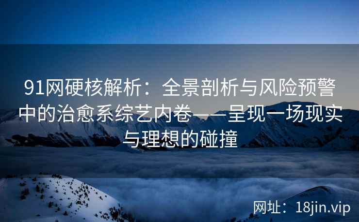 91网硬核解析：全景剖析与风险预警中的治愈系综艺内卷——呈现一场现实与理想的碰撞
