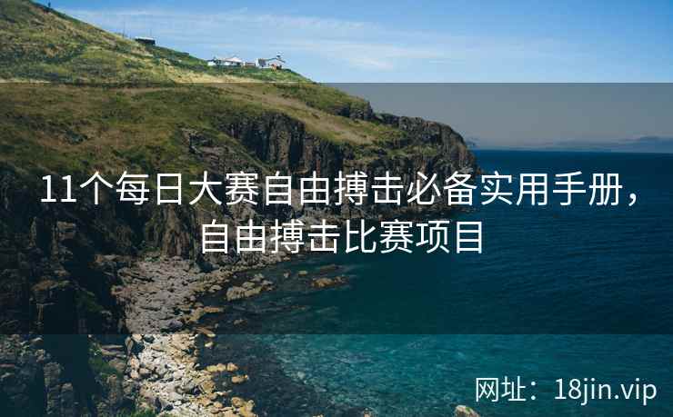 11个每日大赛自由搏击必备实用手册，自由搏击比赛项目