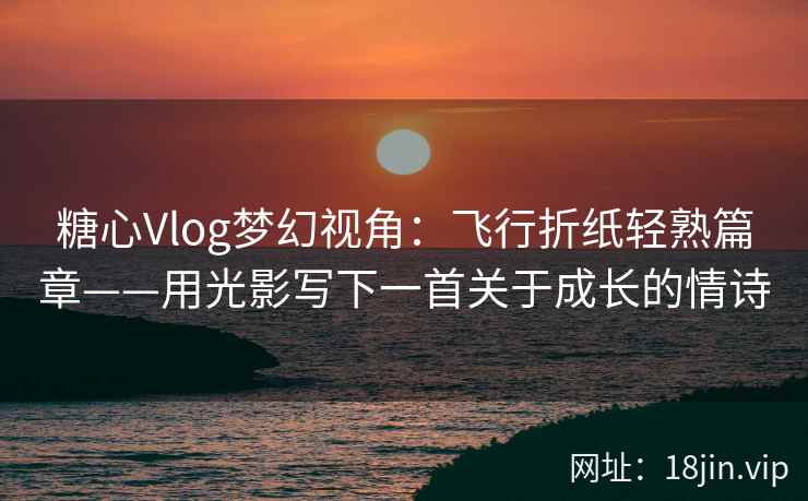糖心Vlog梦幻视角：飞行折纸轻熟篇章——用光影写下一首关于成长的情诗  第1张
