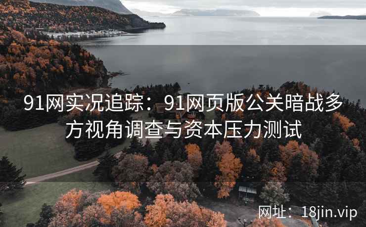 91网实况追踪：91网页版公关暗战多方视角调查与资本压力测试  第1张