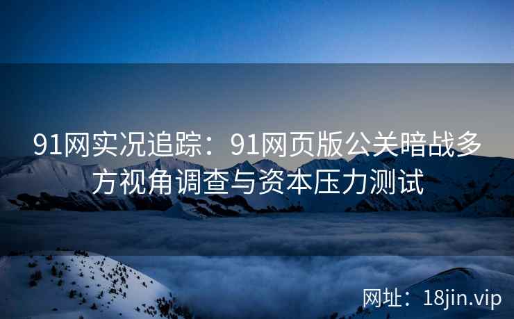 91网实况追踪：91网页版公关暗战多方视角调查与资本压力测试  第2张