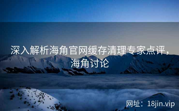 深入解析海角官网缓存清理专家点评，海角讨论