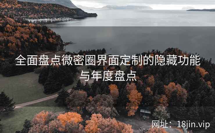 全面盘点微密圈界面定制的隐藏功能与年度盘点