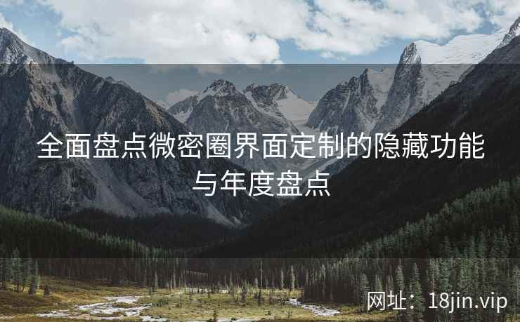 全面盘点微密圈界面定制的隐藏功能与年度盘点